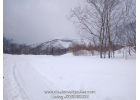 220080322, Niseko Hirafu Outskirts Kabayama Land for Sale