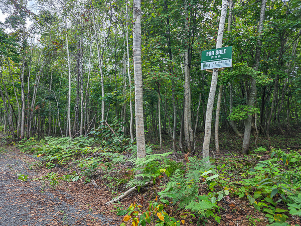 Annupuri-Moiwa Forest land forsale