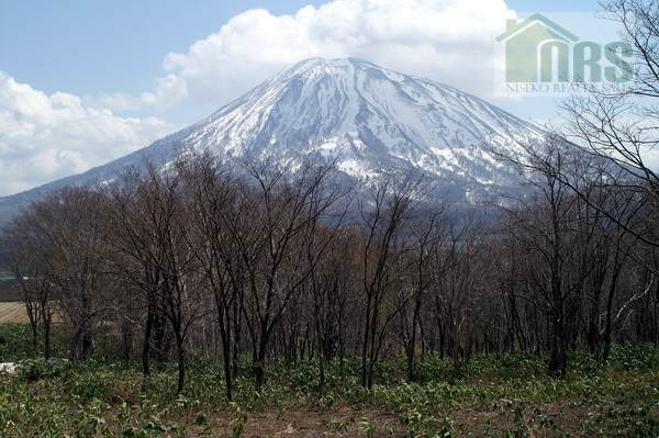Magnificent Views of Mt Yotei