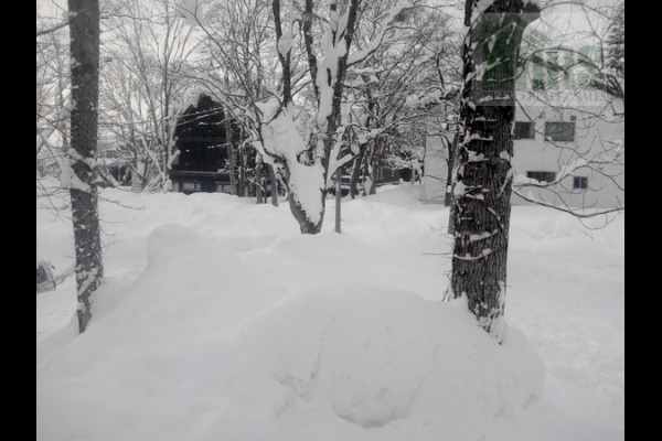 Niseko Hirafu Lower Village Land