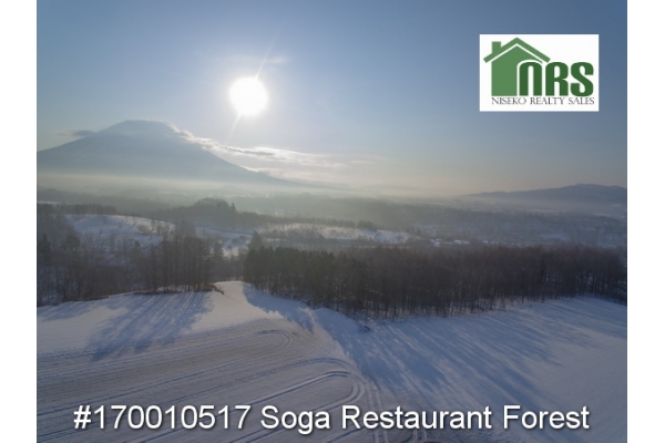 Soga Restaurant Forest