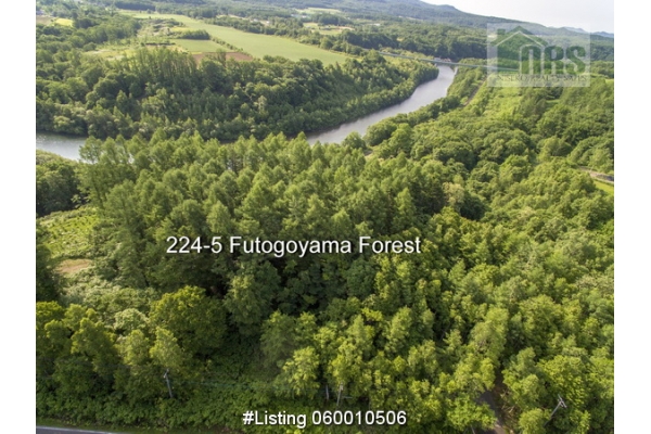 Futogoyama Forest