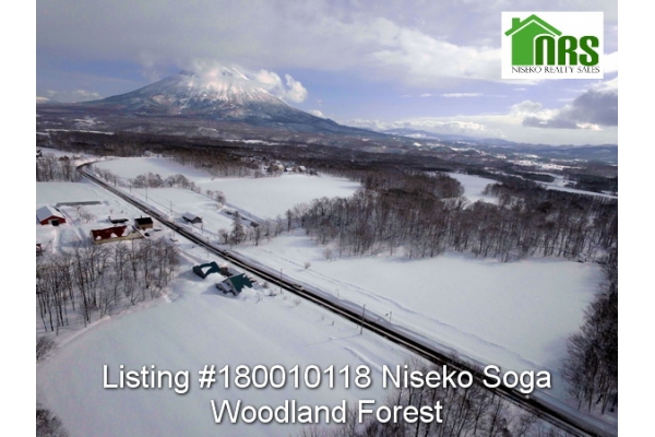 Niseko Soga Woodlands Forest